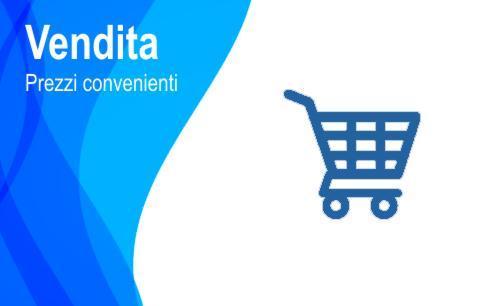 Vendita Assistenza Installazione Impianti Videosorveglianza Citta